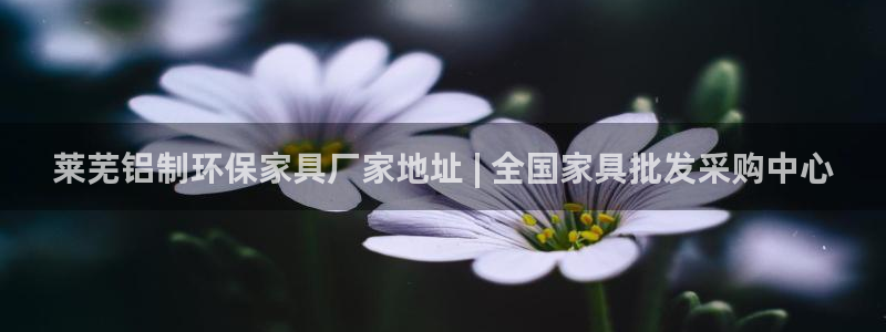 杏耀登录网页