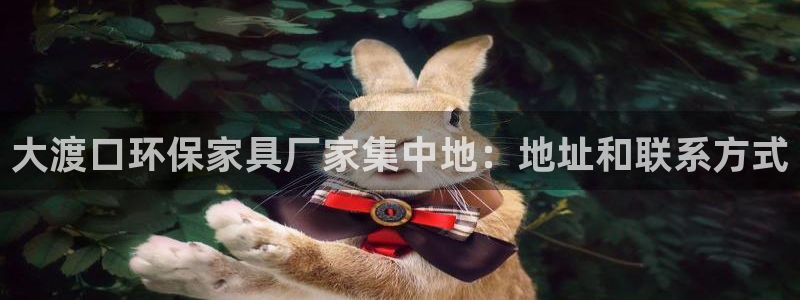 杏耀代理主管qq