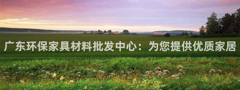 杏耀总代