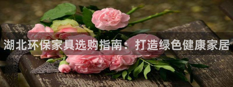 杏耀软件