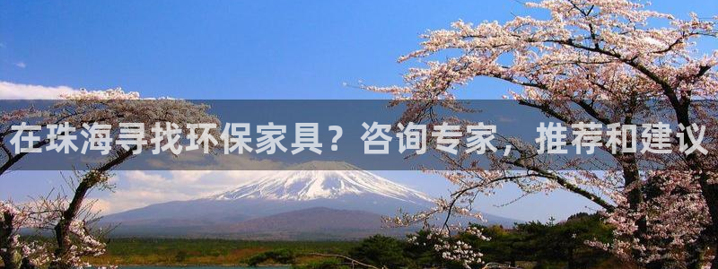 杏耀代理主管qq