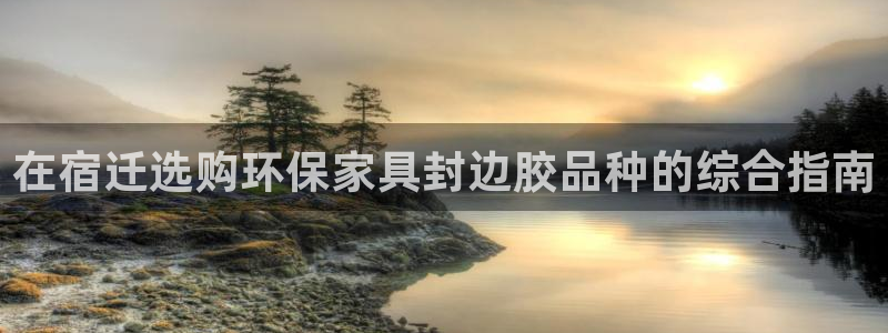 杏耀管网登录：在宿迁选购环保家具封边胶品种的综合指南