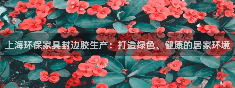 杏耀官网注册：上海环保家具封边胶生产：打造绿色、健康的居家环