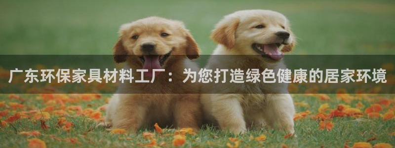 杏耀总代理：广东环保家具材料工厂：为您打造绿色健康的居家环境