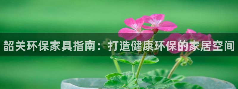 杏耀登陆电脑线路测速