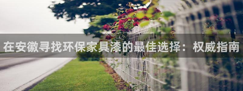 杏耀平台怎么注册：在安徽寻找环保家具漆的最佳选择：权威指南