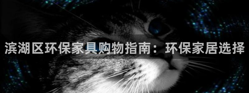 杏耀平台还在吗：滨湖区环保家具购物指南：环保家居选择