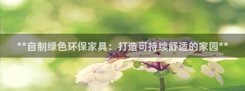 杏耀平台客服：**自制绿色环保家具：打造可持续舒适的家园**