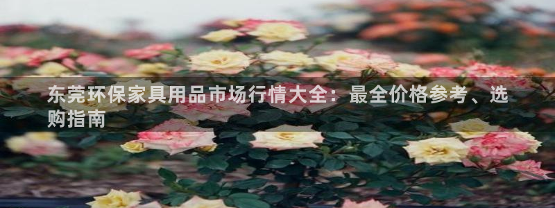 杏耀手机登录线路测速：东莞环保家具用品市场行情大全：最全价格