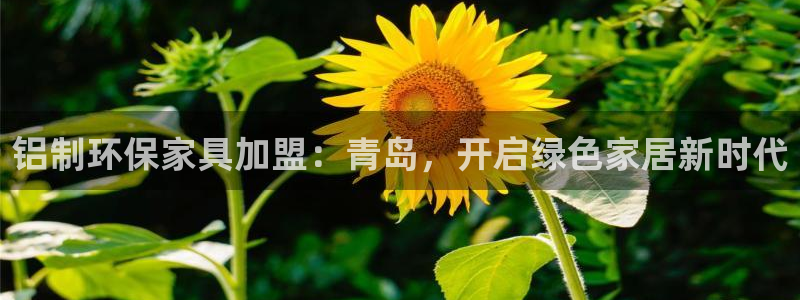 杏耀主管qq