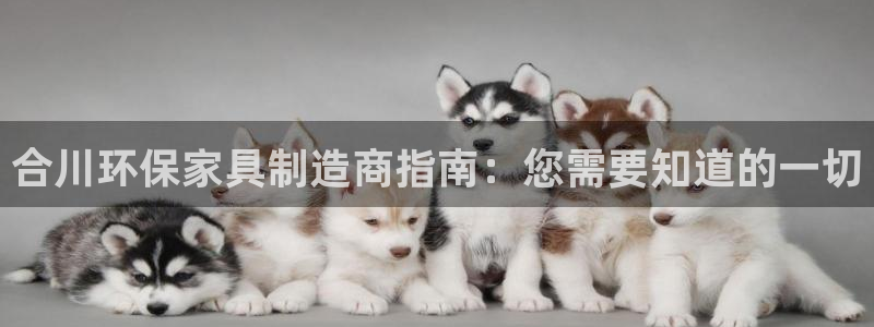杏耀平台代理登录网址是多少