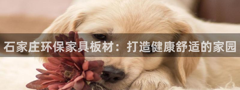 杏耀官方：石家庄环保家具板材：打造健康舒适的家园