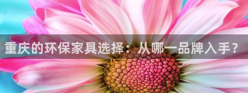 杏耀平台主管
