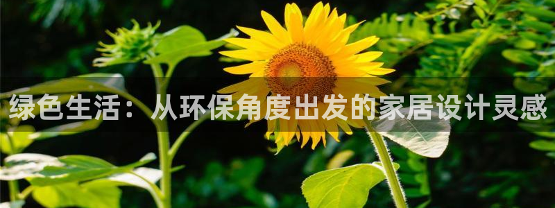 杏耀平台怎么样?