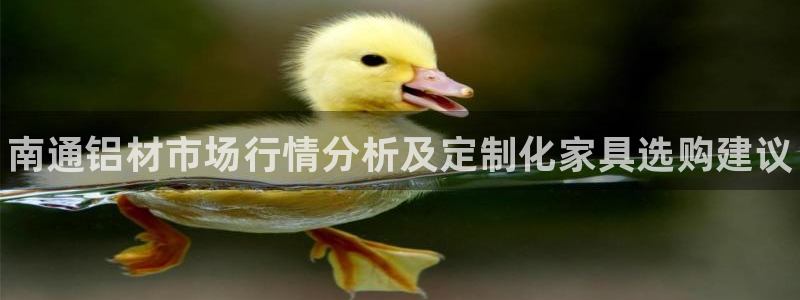 杏耀代理日工资多少